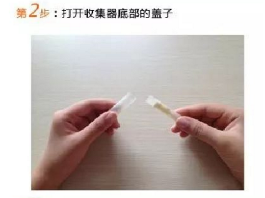 第2步：打开收集器底部的盖子