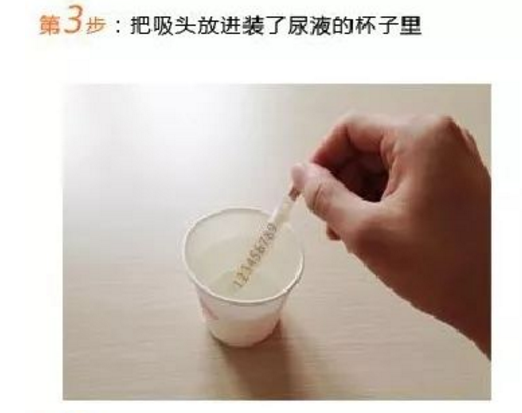 第3步：把吸頭放進裝了尿液的杯子裏