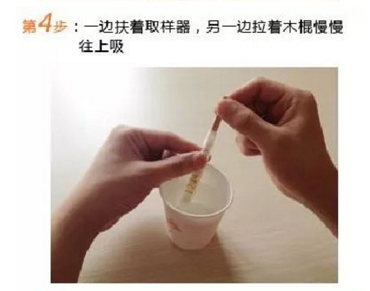第4步：一邊扶着取樣器，另一邊拉着木棍慢慢往上吸