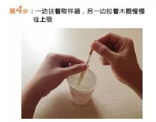 第4步：一邊扶著取樣器，另一邊拉著木棍慢慢往上吸