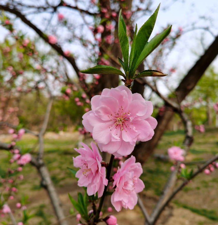 2023年3月18日至24日出行提示