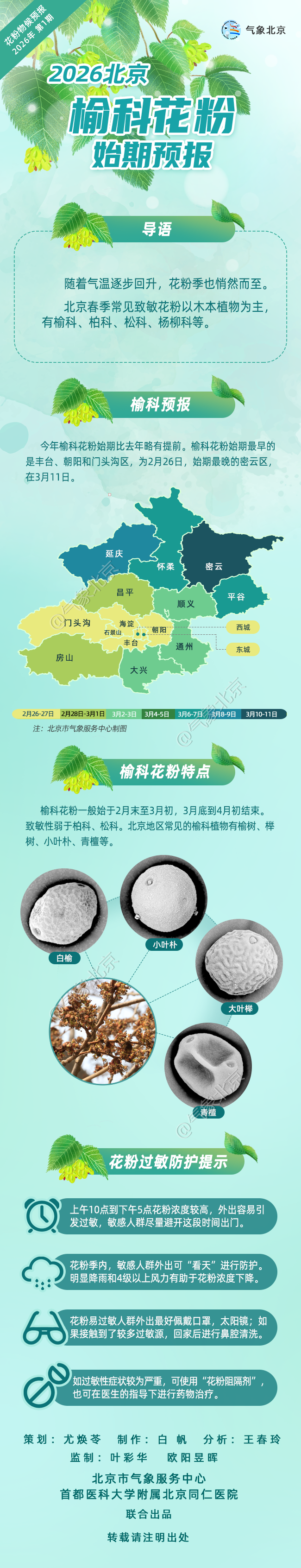 北京花粉季提前！過敏人群健康防護進入關鍵期！