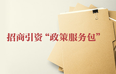  "Policy service package" for investment promotion