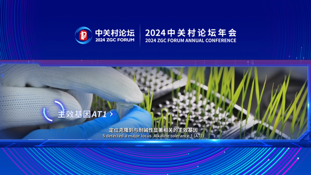 重大科技成果八：基因改良護航糧食安全——農作物耐鹽鹼機制解析及應用
