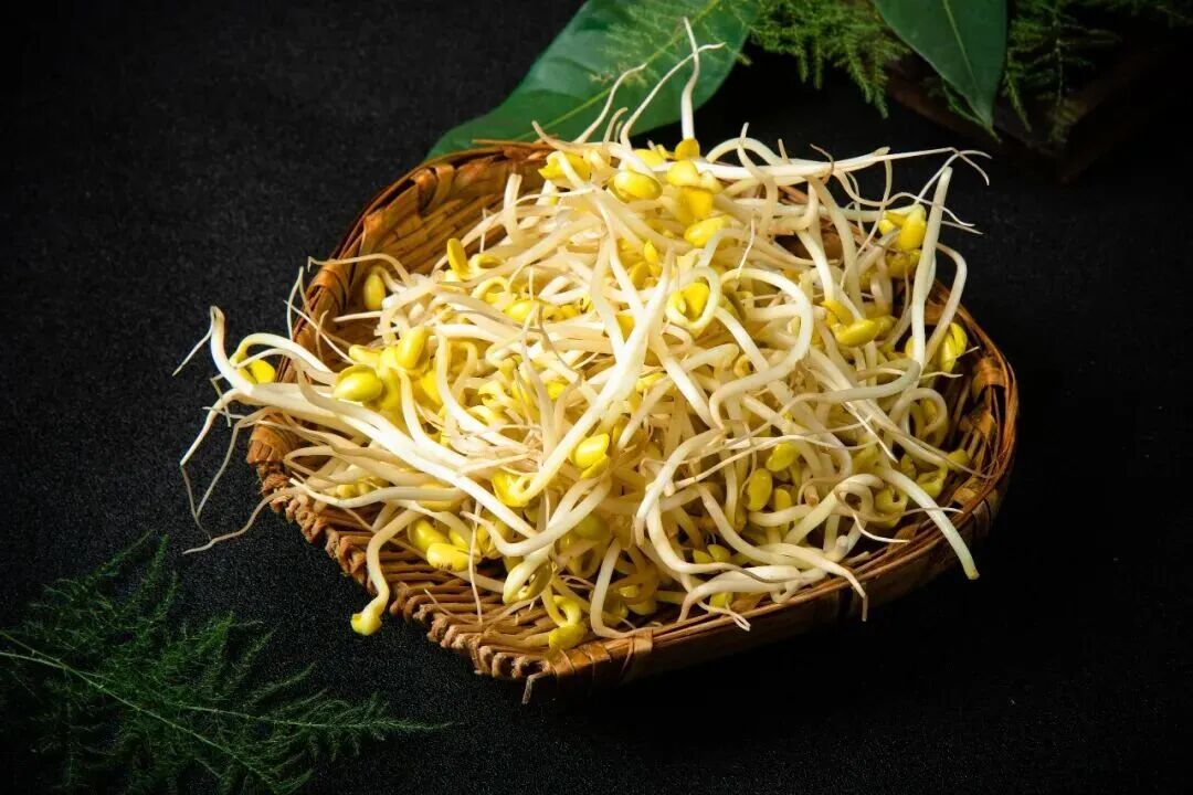 特別適合在春天吃的菜 對肝臟很友好 特別適合在春天吃的菜 對肝臟很友好