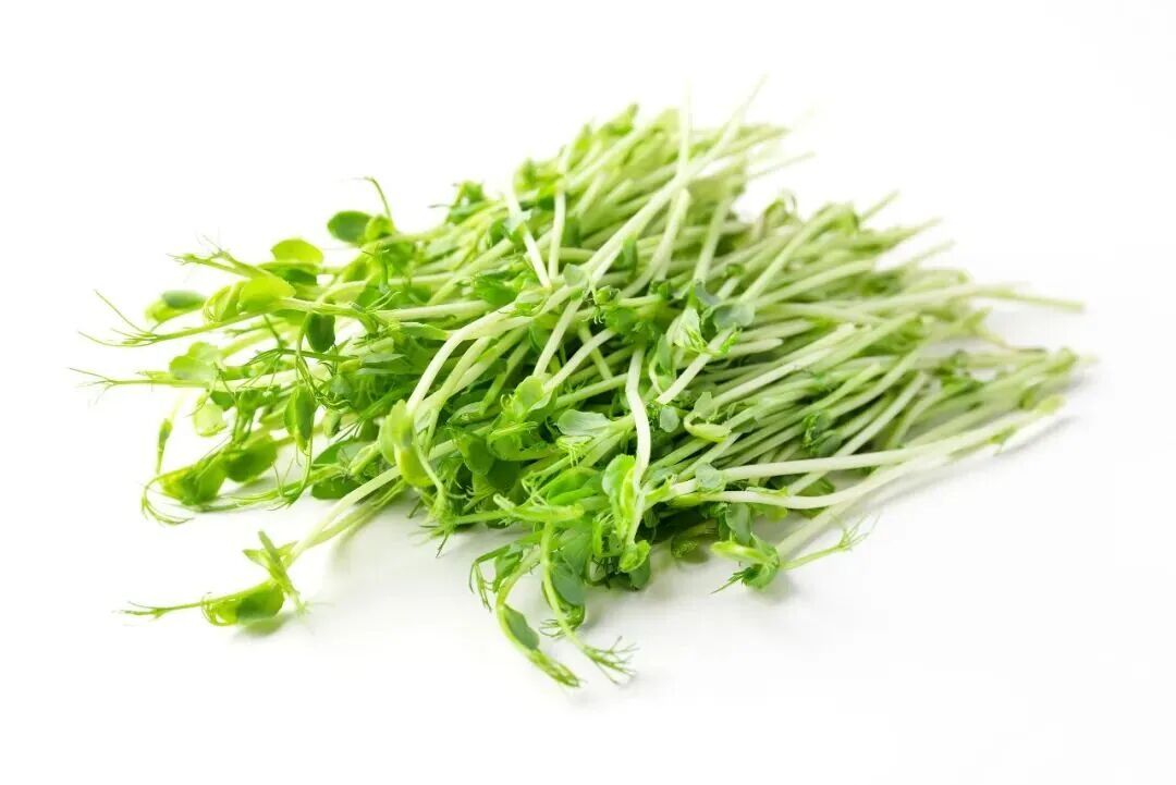 特別適合在春天吃的菜 對肝臟很友好 特別適合在春天吃的菜 對肝臟很友好