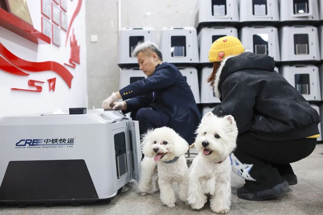 重大升級!寵物可以獨自“坐”高鐵了—— 重大升級!寵物可以獨自“坐”高鐵了——