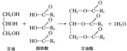 控油的本質是控脂肪 控油的本質是控脂肪