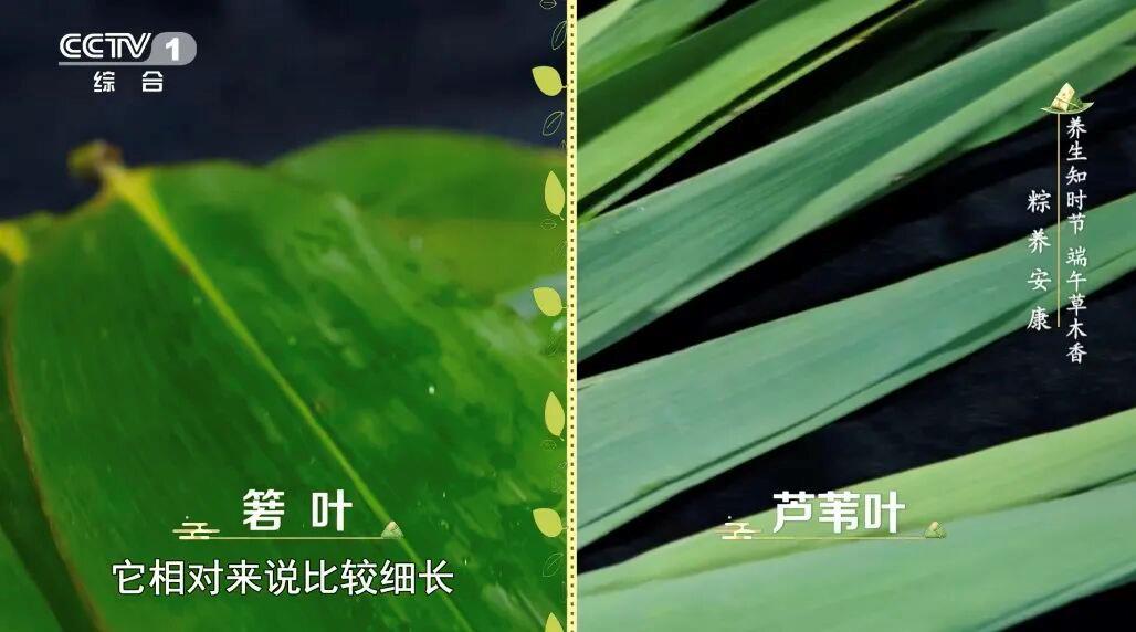 不同人群不同吃法,今天吃粽子前先看這個 不同人群不同吃法,今天吃粽子前先看這個