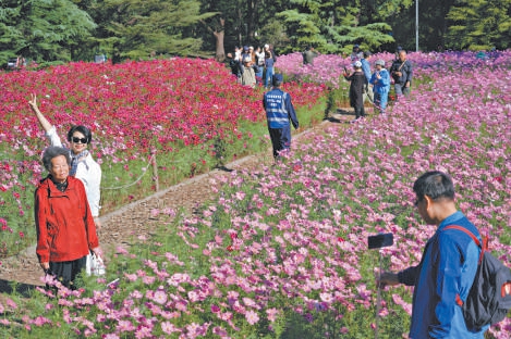 靜態園林活起來 沉浸遊園醉金秋