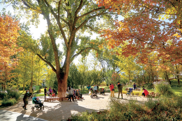 東城區新中街城市森林 東城區新中街城市森林