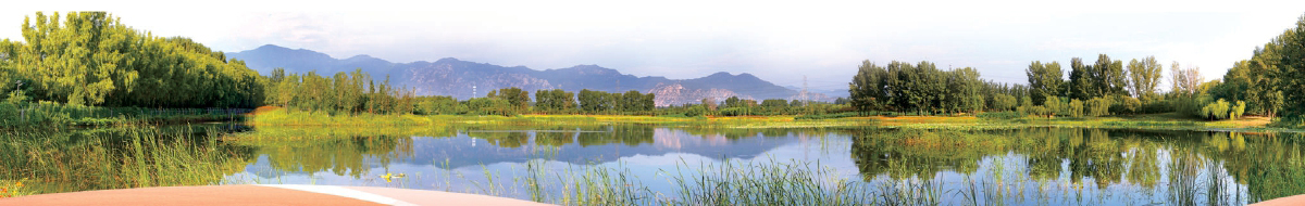 海淀翠湖濕地 海淀翠湖濕地