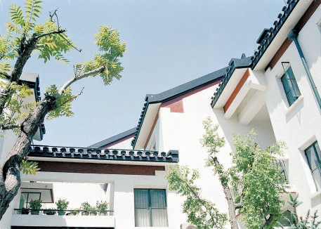 1999年，菊兒衚同新四合院住宅。