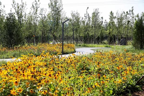 懷柔首個城市森林公園落成,十一開門迎客來