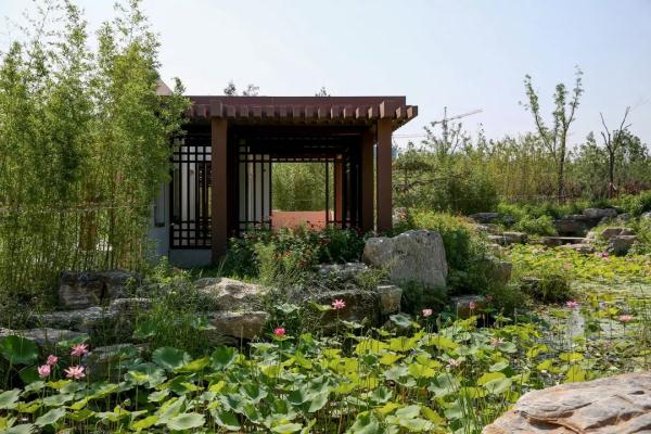 懷柔首個城市森林公園落成,十一開門迎客來