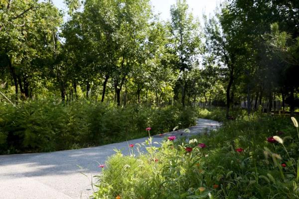 懷柔首個城市森林公園落成,十一開門迎客來