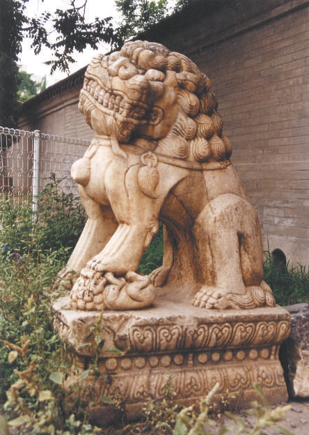 元聖宮雌獅