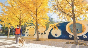 二環邊新開放一批公園綠地 二環邊新開放一批公園綠地