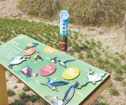 蚯蚓塔(立柱)可為蚯蚓提供食物。 蚯蚓塔(立柱)可為蚯蚓提供食物。