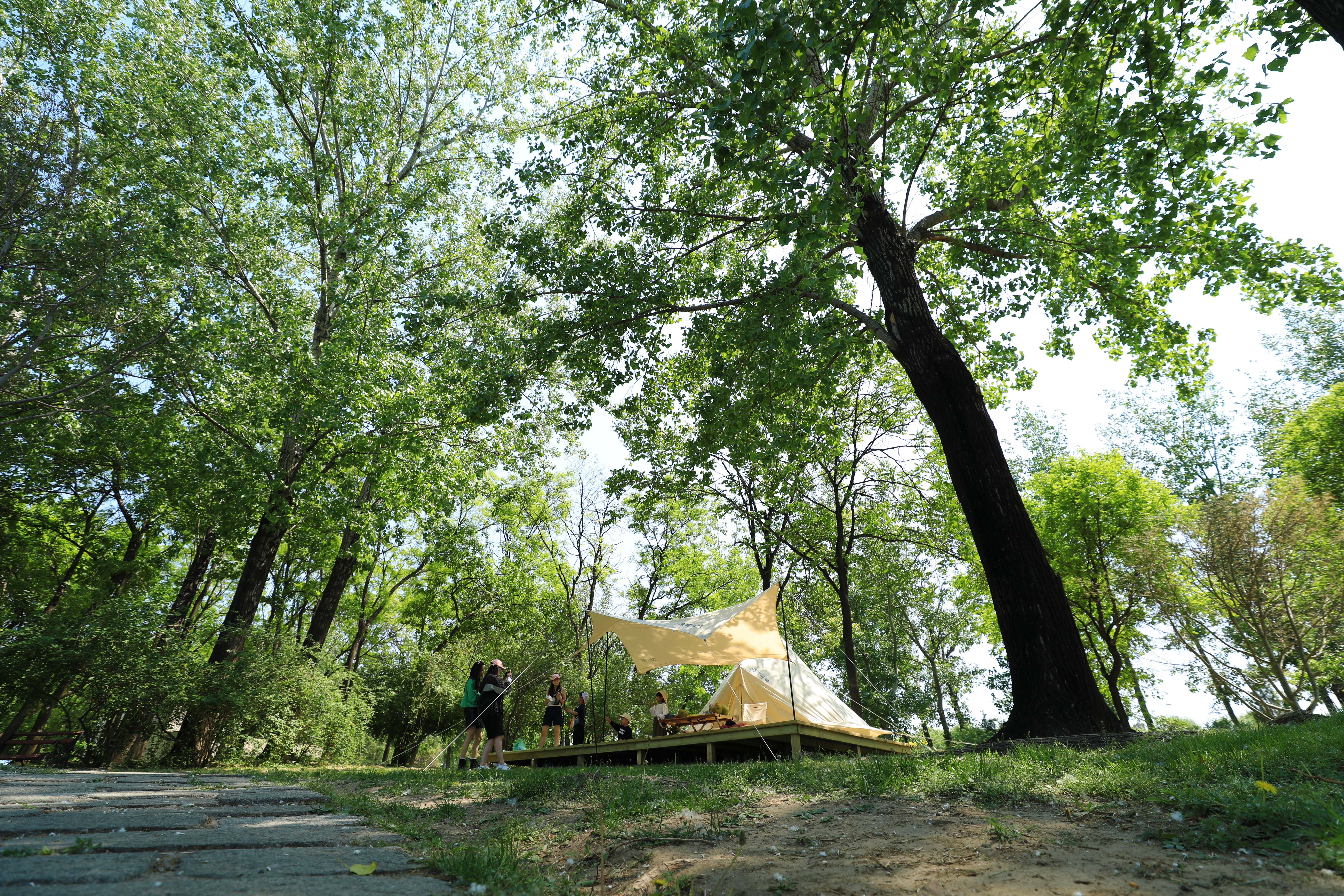 世界公園戲水嘉年華歡樂“一夏” 世界公園戲水嘉年華歡樂“一夏”
