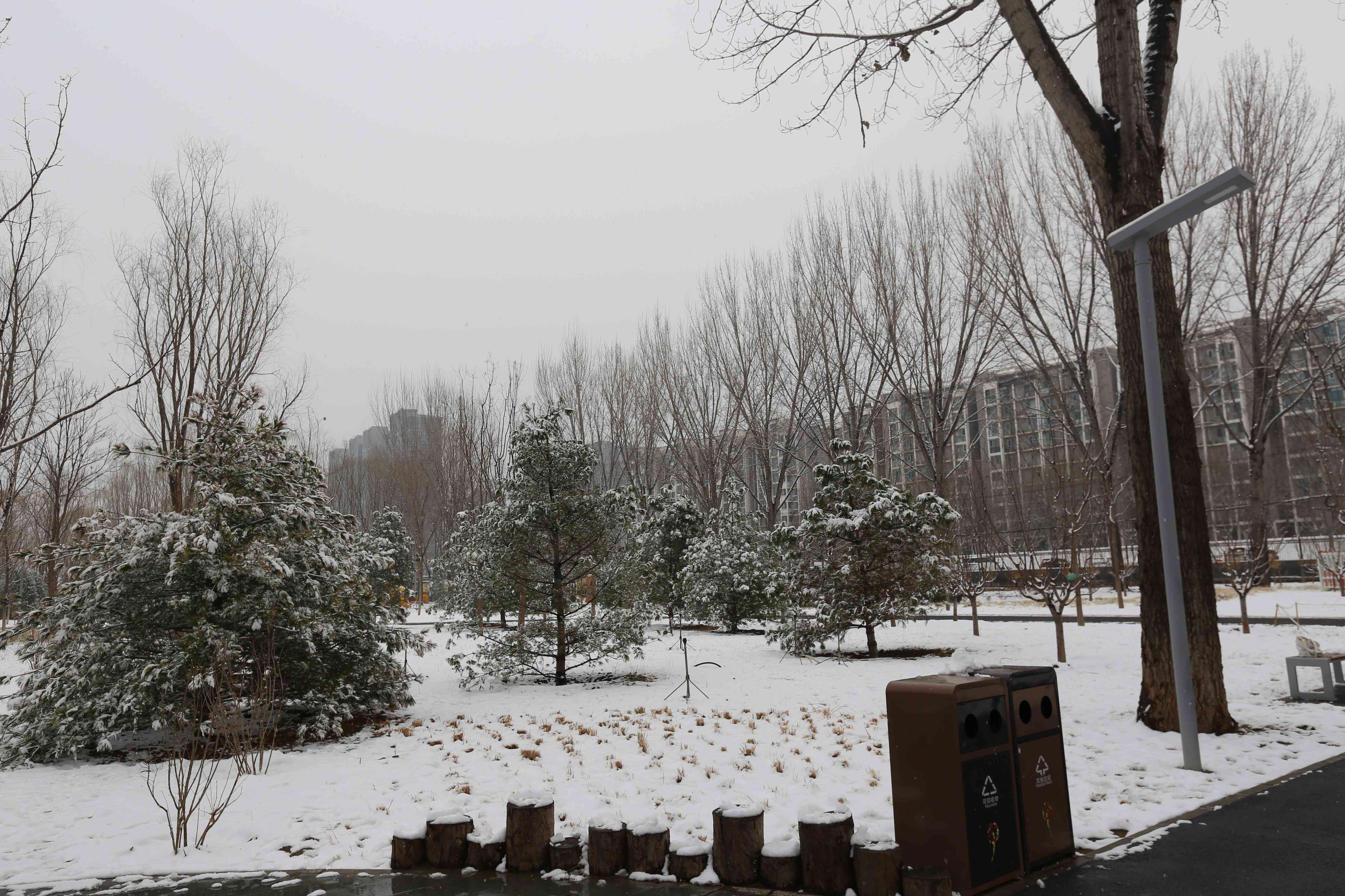 全齡樂活 觀鳥尋趣!昌平這兩個公園成為打卡新地標 全齡樂活 觀鳥尋趣!昌平這兩個公園成為打卡新地標