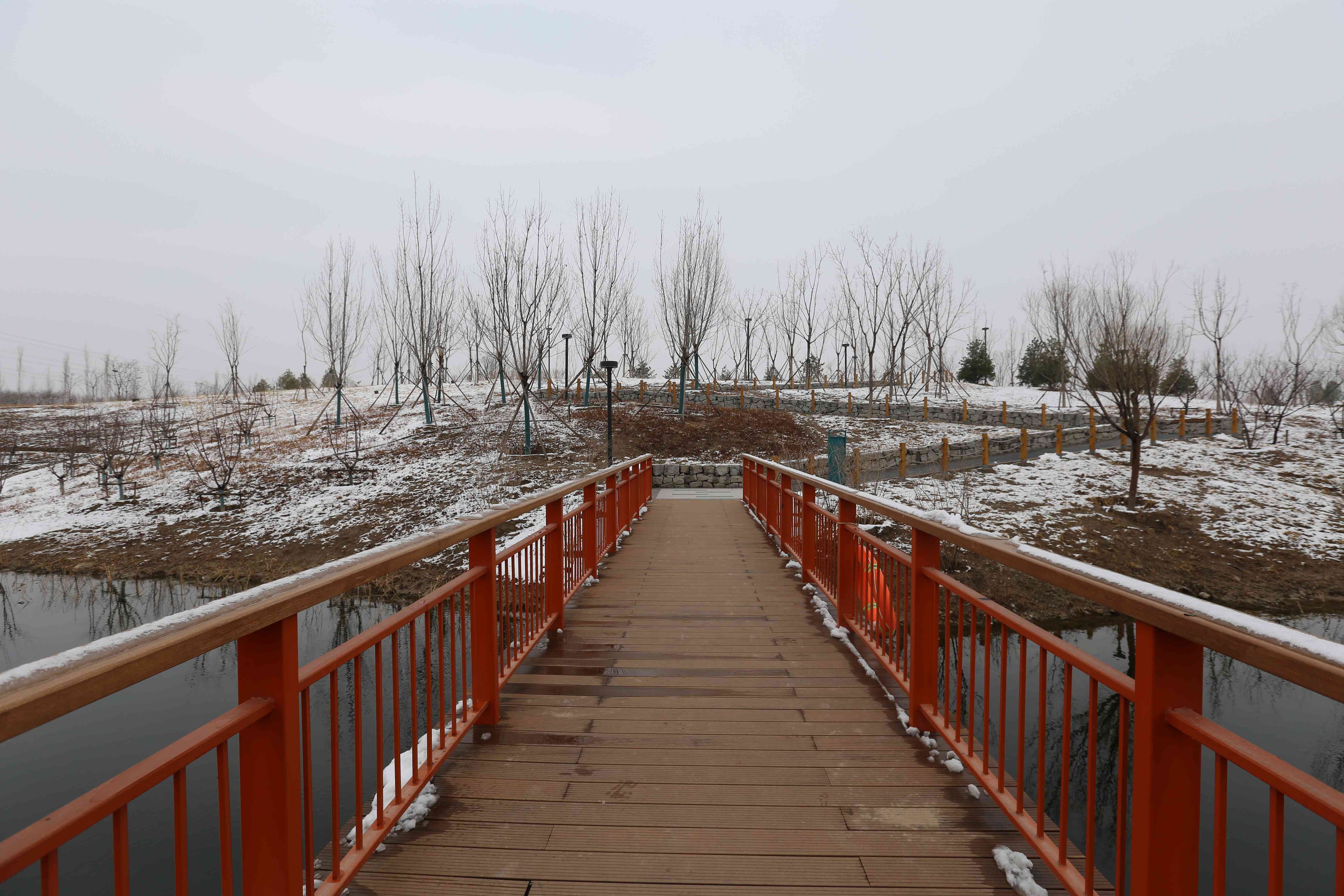 全齡樂活 觀鳥尋趣!昌平這兩個公園成為打卡新地標 全齡樂活 觀鳥尋趣!昌平這兩個公園成為打卡新地標