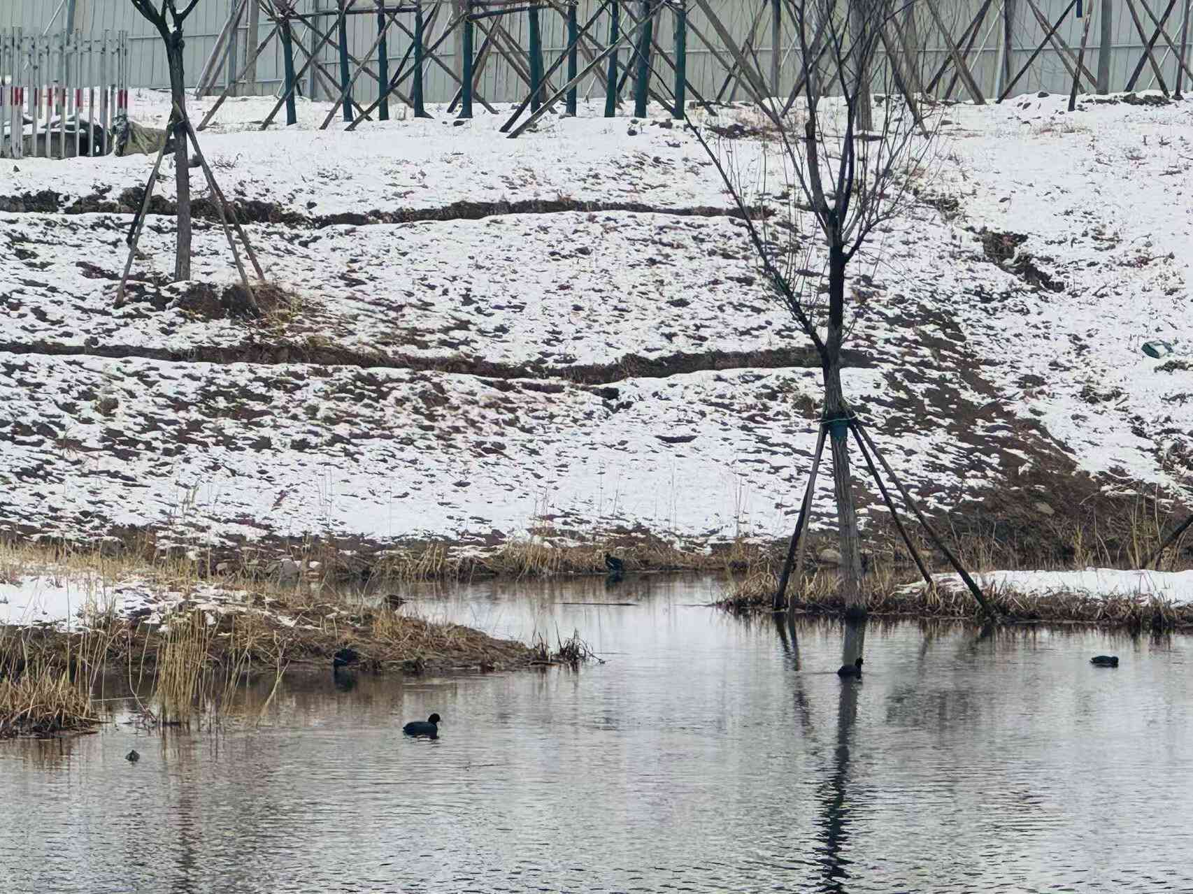 全齡樂活 觀鳥尋趣!昌平這兩個公園成為打卡新地標 全齡樂活 觀鳥尋趣!昌平這兩個公園成為打卡新地標