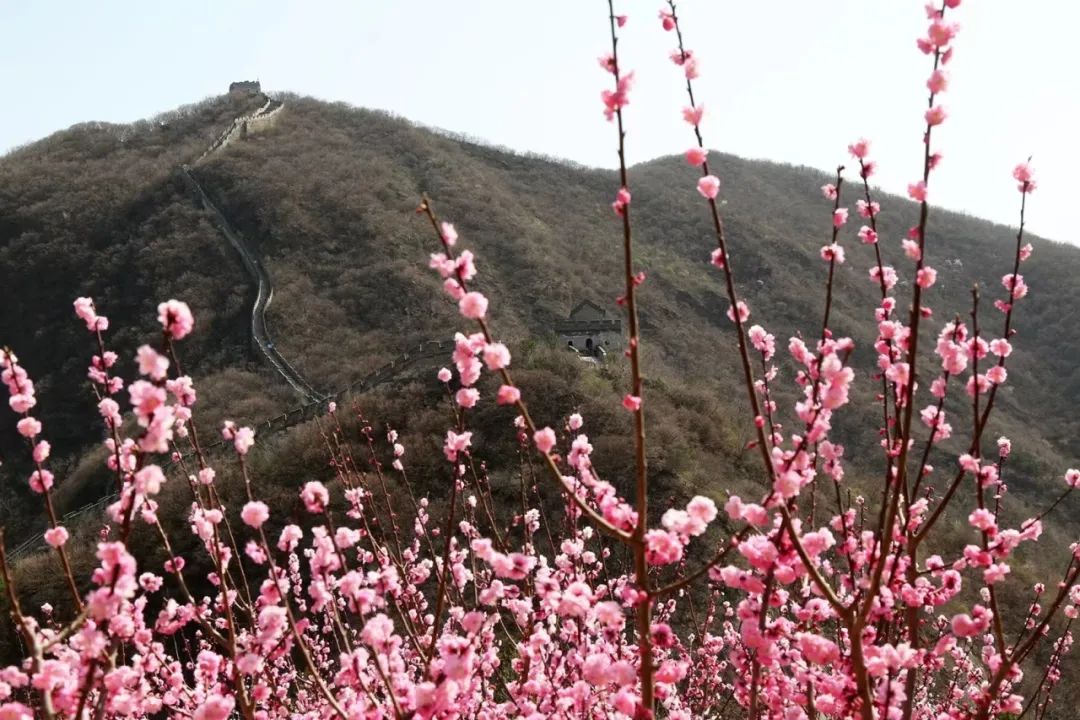 響水湖長城 響水湖長城