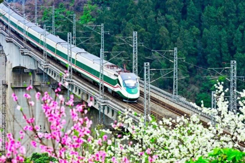 多地新開賞花專列 這份健康“春遊攻略”請收好 多地新開賞花專列 這份健康“春遊攻略”請收好