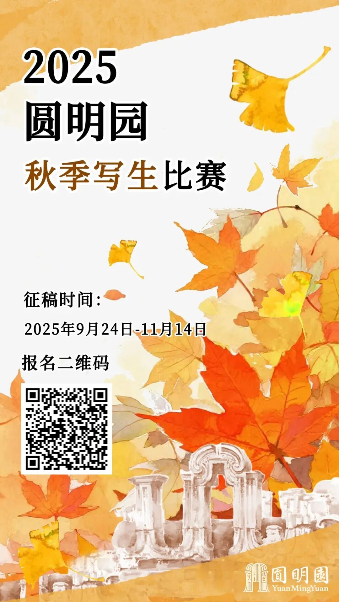 秋景“天花板” 北京這些銀杏大道即將迎來最佳觀賞期 秋景“天花板” 北京這些銀杏大道即將迎來最佳觀賞期