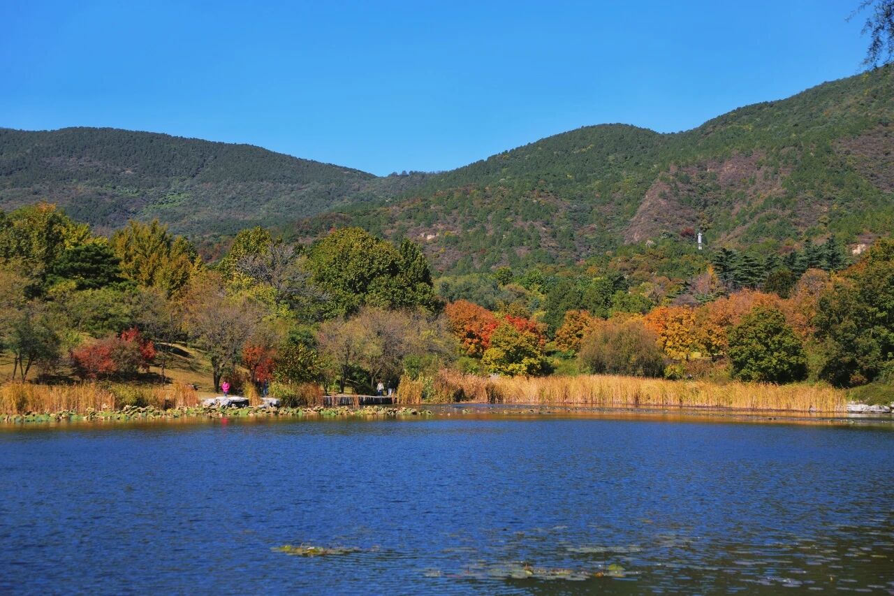 國家植物園進入彩葉最佳觀賞期 國家植物園進入彩葉最佳觀賞期