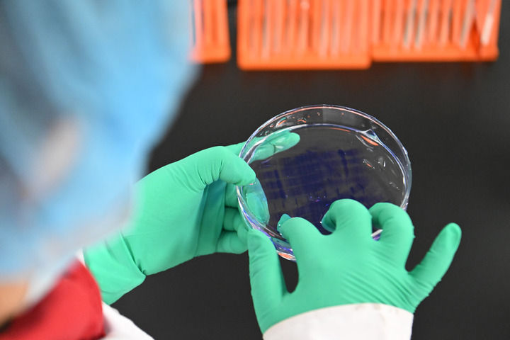 2025年2月20日,在位於京津中關村科技城的中科拜克(天津)生物藥業有限公司,實驗人員在檢驗生物製品蛋白分子量。 2025年2月20日,在位於京津中關村科技城的中科拜克(天津)生物藥業有限公司,實驗人員在檢驗生物製品蛋白分子量。