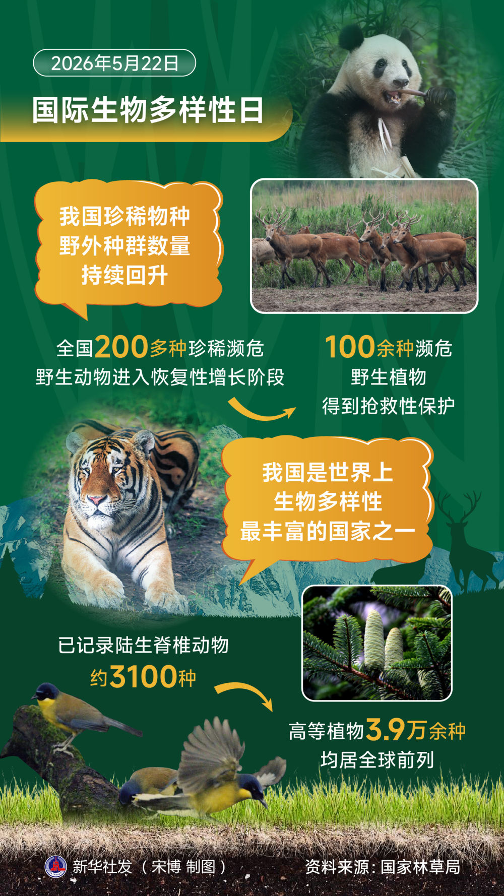 共建萬物和諧的美麗家園——習近平生態文明思想引領生物多樣性保護事業開創新局面 共建萬物和諧的美麗家園——習近平生態文明思想引領生物多樣性保護事業開創新局面