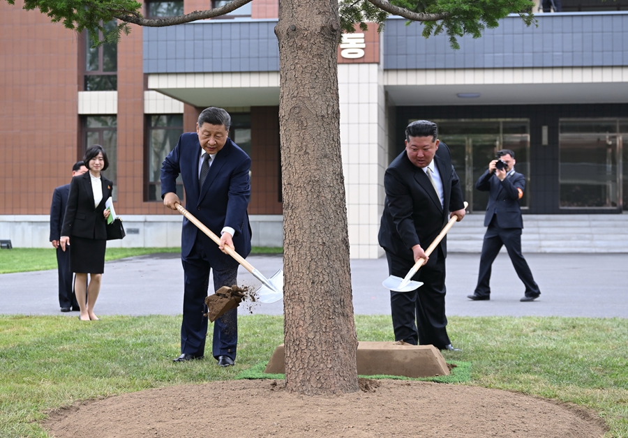 當地時間6月9日上午,中共中央總書記、國家主席習近平在朝鮮勞動黨總書記、國務委員長金正恩陪同下,參訪位於平壤的朝鮮勞動黨中央幹部學校。這是在教學樓之間的林地上,習近平和金正恩共同種下一株樅樹。 當地時間6月9日上午,中共中央總書記、國家主席習近平在朝鮮勞動黨總書記、國務委員長金正恩陪同下,參訪位於平壤的朝鮮勞動黨中央幹部學校。這是在教學樓之間的林地上,習近平和金正恩共同種下一株樅樹。
