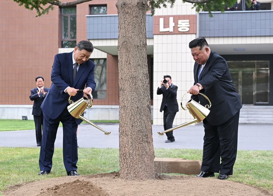當地時間6月9日上午,中共中央總書記、國家主席習近平在朝鮮勞動黨總書記、國務委員長金正恩陪同下,參訪位於平壤的朝鮮勞動黨中央幹部學校。這是在教學樓之間的林地上,習近平和金正恩共同種下一株樅樹。 當地時間6月9日上午,中共中央總書記、國家主席習近平在朝鮮勞動黨總書記、國務委員長金正恩陪同下,參訪位於平壤的朝鮮勞動黨中央幹部學校。這是在教學樓之間的林地上,習近平和金正恩共同種下一株樅樹。