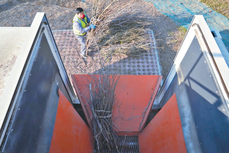 工作人員向生態艙中投入枯枝。 工作人員向生態艙中投入枯枝。