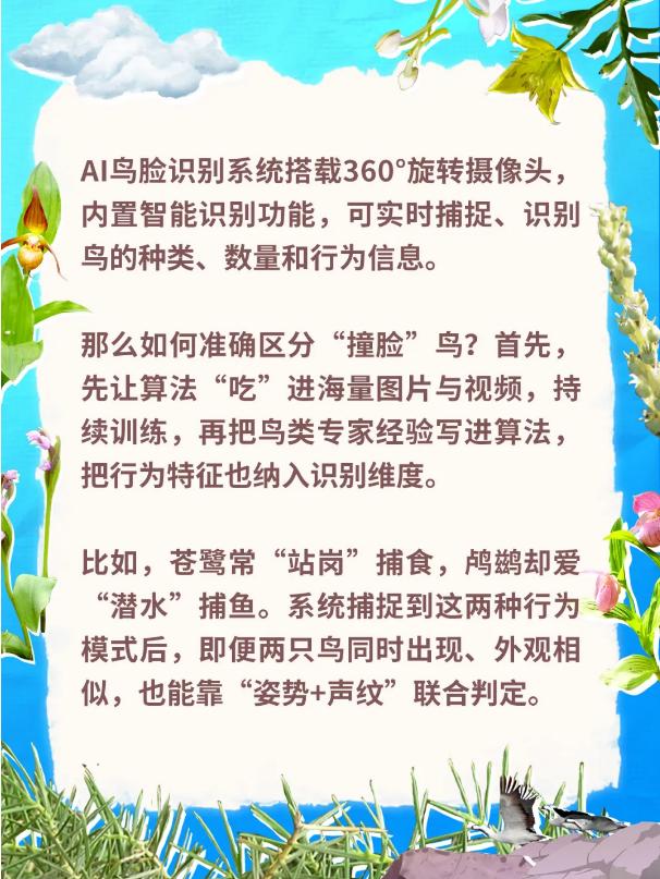 別只知道“生物多樣性”!讀懂這些才算真懂生態(二) 別只知道“生物多樣性”!讀懂這些才算真懂生態(二)