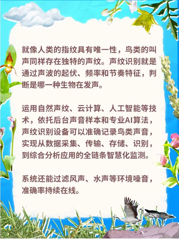 別只知道“生物多樣性”!讀懂這些才算真懂生態(二) 別只知道“生物多樣性”!讀懂這些才算真懂生態(二)