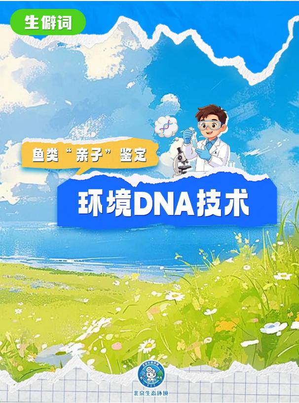 別只知道“生物多樣性”!讀懂這些才算真懂生態(二) 別只知道“生物多樣性”!讀懂這些才算真懂生態(二)