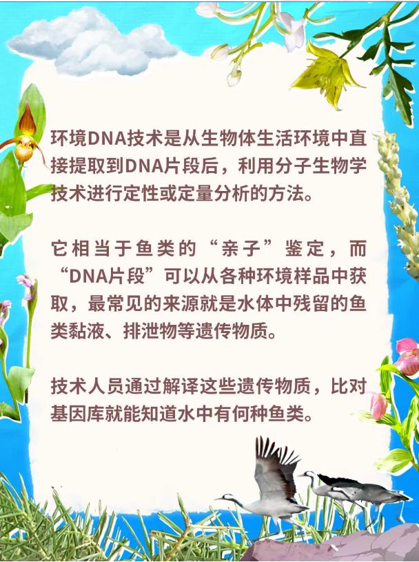 別只知道“生物多樣性”!讀懂這些才算真懂生態(二) 別只知道“生物多樣性”!讀懂這些才算真懂生態(二)