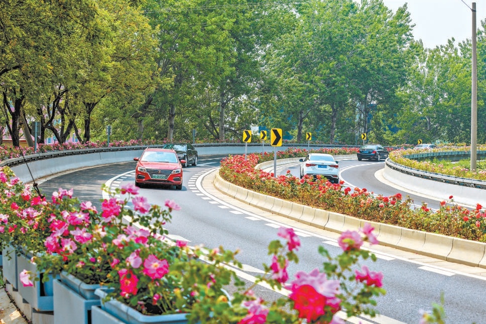 西四環車輛川流不息,道路兩旁的月季景觀令人賞心悅目。 西四環車輛川流不息,道路兩旁的月季景觀令人賞心悅目。