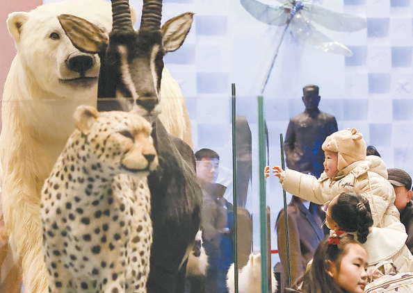 游客在位於保定市的中國古動物館(保定自然博物館)參觀。 游客在位於保定市的中國古動物館(保定自然博物館)參觀。