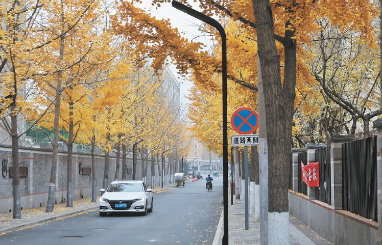 經過整治的潞河中學北街煥然一新。 經過整治的潞河中學北街煥然一新。