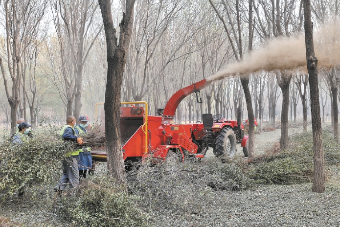 在潞城林場,護林員們將枯枝爛葉投放進設備打成粉末。 在潞城林場,護林員們將枯枝爛葉投放進設備打成粉末。