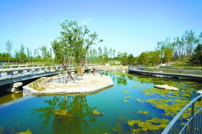 溫榆河公園飛翠疊瀑景觀前的種植池。