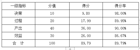 综合评价得分情况表