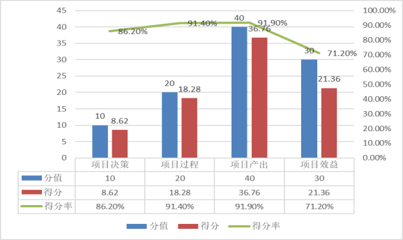 项目分项绩效评价指标分值及得分情况