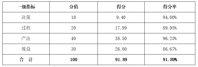 综合评价得分情况表