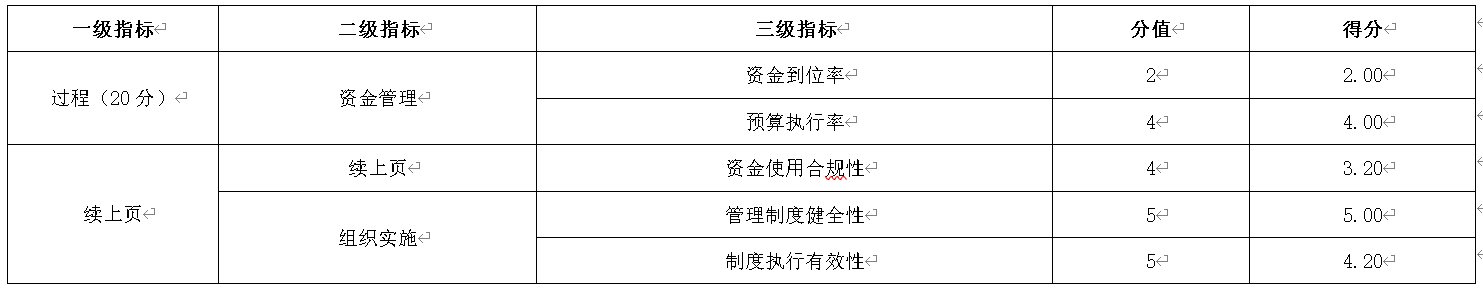 表4：过程指标设定及评分情况表