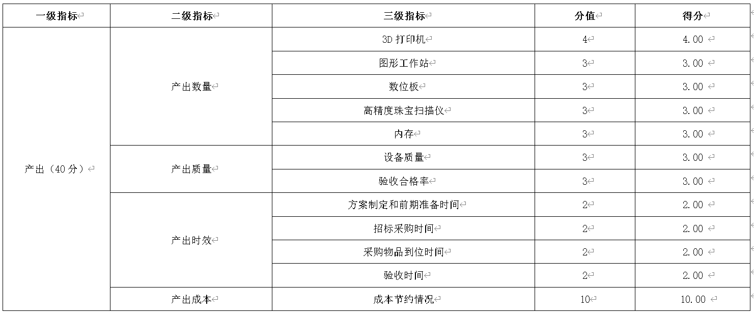 表5：産出指標設定及評分情況表